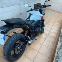 Honda Hornet - 2010