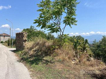 Terreno di 8115 m² a Stella Cilento