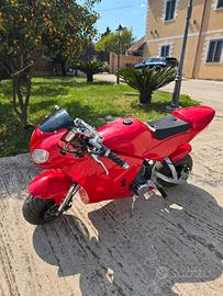Minimoto Pocket bike 49cc 