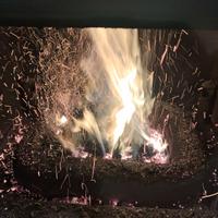 cippato per caldaie