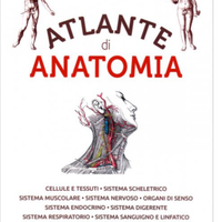 Atlante di anatomia (edizioni Vallardi)
