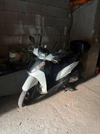 Sh 300 sport