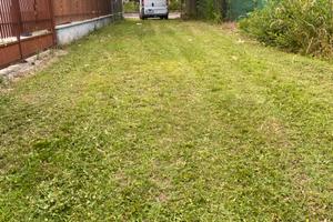 Terreno x allenamento cani ho altro 3483209820