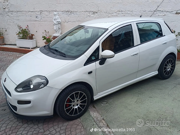 Punto evo 2015