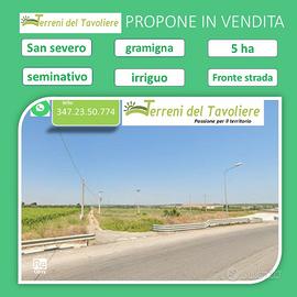 Terreno agricolo seminativo | San Severo