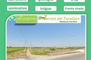 Terreno agricolo seminativo | San Severo
