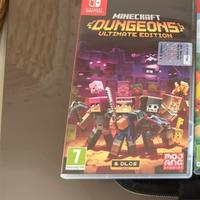 Minecraft dungeon Nintendo Switch