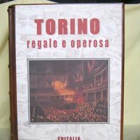 Torino regale e operosa