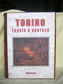 Torino regale e operosa