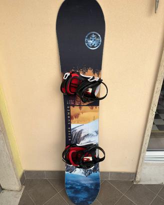 Tavola snowboard never summer