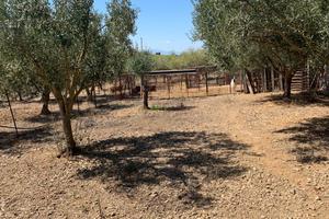 Settimo ampia villa bilivelli con terreno