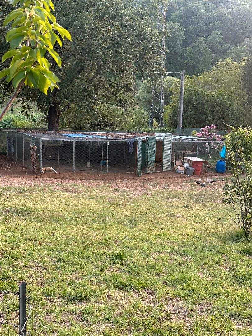 Tereno agricolo con rustico da rifinire - Vista 5