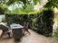 Immagine 12
