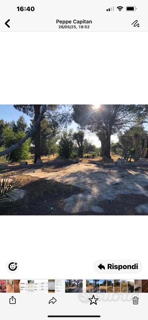 Terreno agricolo no casa - Vista 5