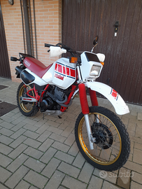 Yamaha XT 600 Ténéré 1985 FMI