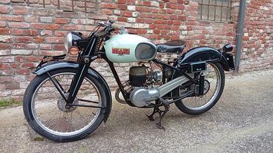 scudo del sud bianchi 