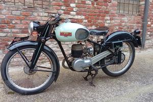 scudo del sud bianchi 