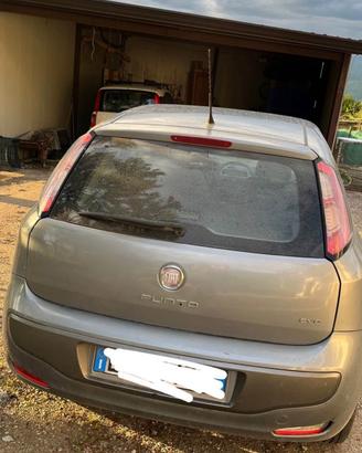 Fiat punto evo