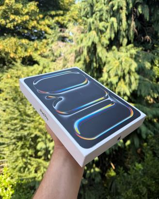 IPAD PRO M5 256gb