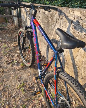 bicicletta