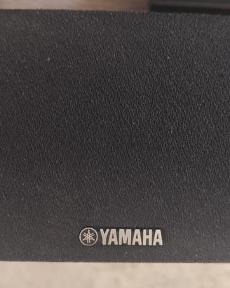 Centrale Yamaha NS C385