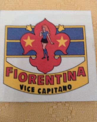 Panini calciogrado 74-75