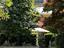Immagine 25
