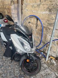 Sym Joymax 300 - 2018