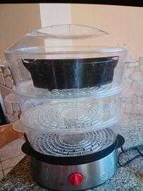 Vaporiera elettrica della Girmi 