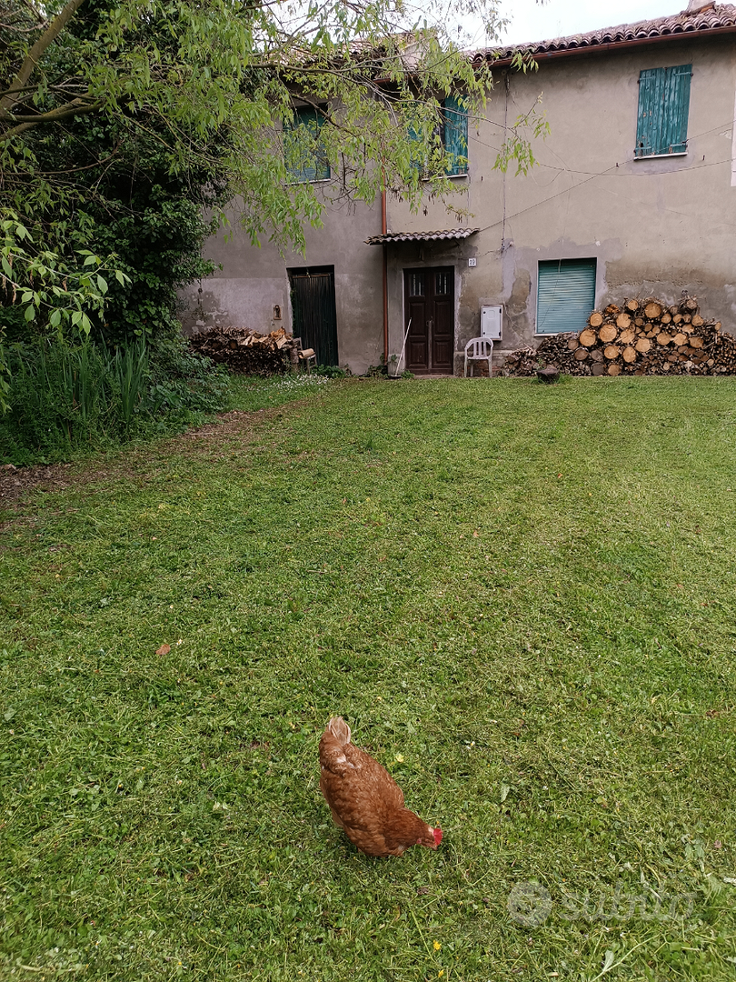 Fossolo, rustico con terreno - Vista 2