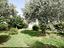 Immagine 19
