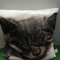 cuscino gatto