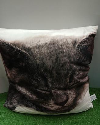 cuscino gatto
