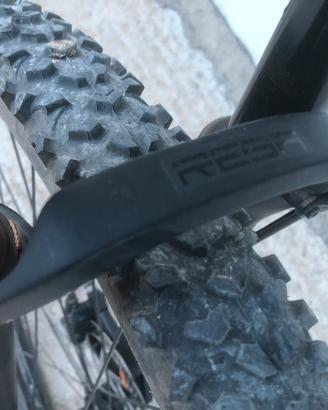 MTB FOCUS RAVEN