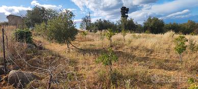Terreno agricolo a Francofonte