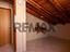 Immagine 29