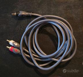 Cavo Audio RCA a Y 2 mt