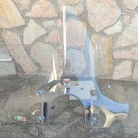 Paravento vespa 300
