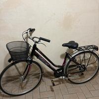 Bicicletta Röllmar Freccia