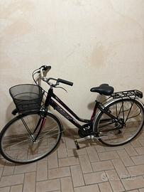 Bicicletta Röllmar Freccia