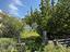 Immagine 9