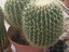 Immagine 4
