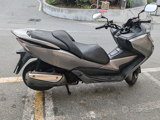 Honda Forza 300 usata in vendita in Liguria