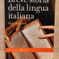 Breve storia della lingua italiana