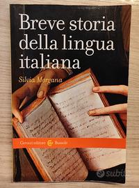 Breve storia della lingua italiana