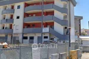 Appartamento Nettuno