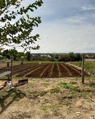 Terreno agricolo