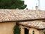 Immagine 7