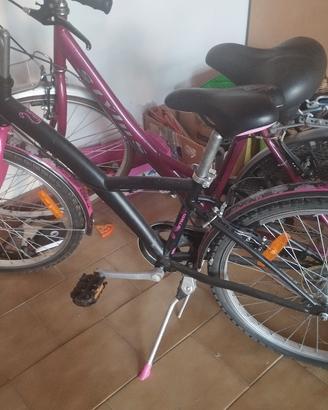 bicicletta 