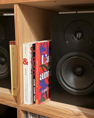 Linn Tukan + Linn Majik - Coppia storica HI-FI